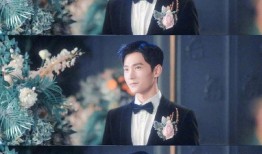 张瑾瑜最新爆料,揭秘娱乐圈惊人内幕